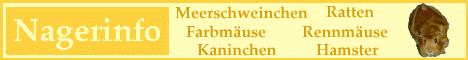 Infos rund um alle Nager